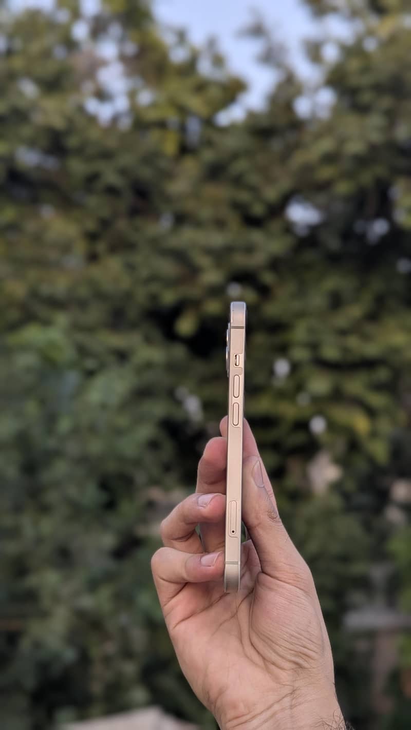 Apple iPhone 13 1