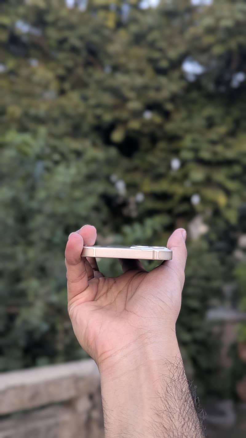Apple iPhone 13 4