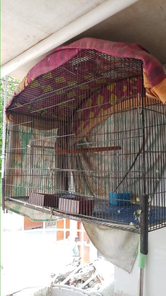 Bird Cage 0