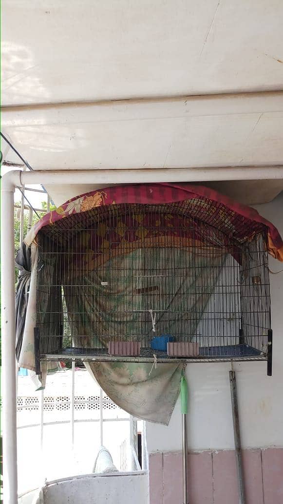 Bird Cage 1