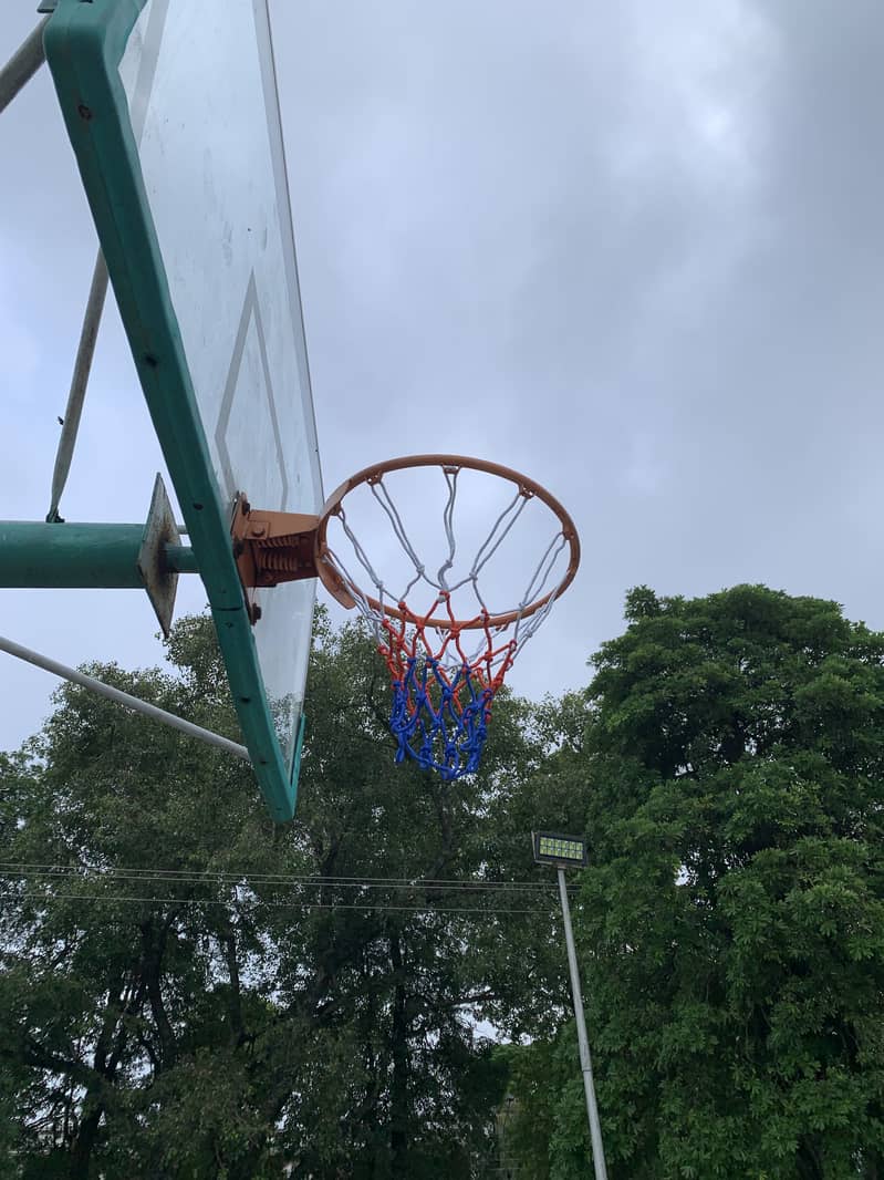 Basketball Ring & Hoops 0