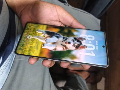 Tecno CAMON 40 Pro