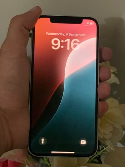 iPhone 12 waterpack