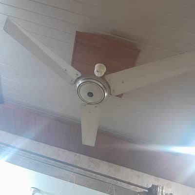2 fans