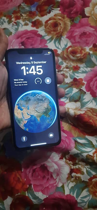 Apple iPhone X