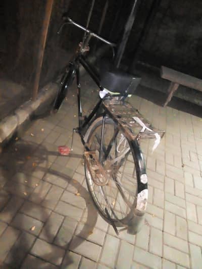 aegal cycle