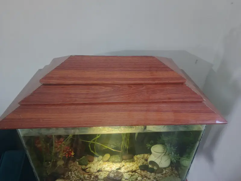 Beautiful Wooden Stand Fish Tank Setup with Accessories — photo 3