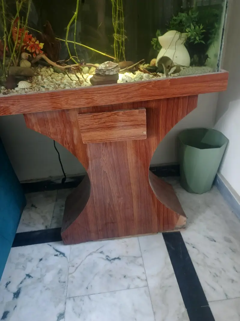 Beautiful Wooden Stand Fish Tank Setup with Accessories — photo 4