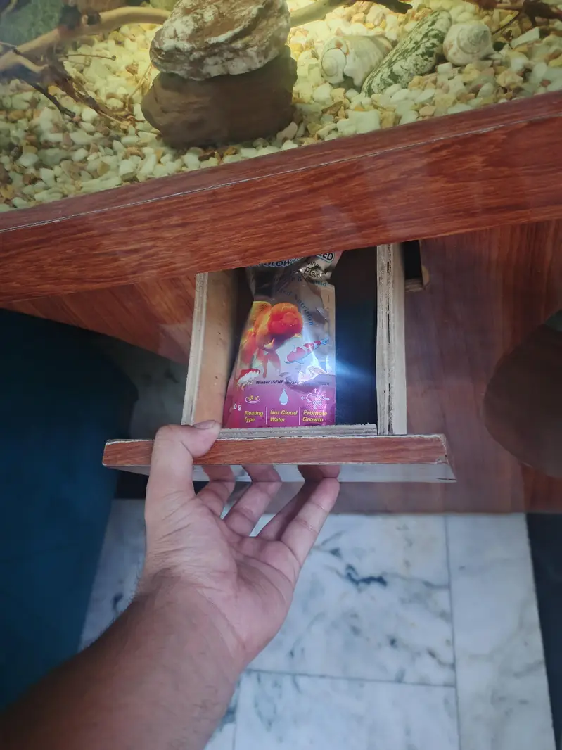 Beautiful Wooden Stand Fish Tank Setup with Accessories — photo 7