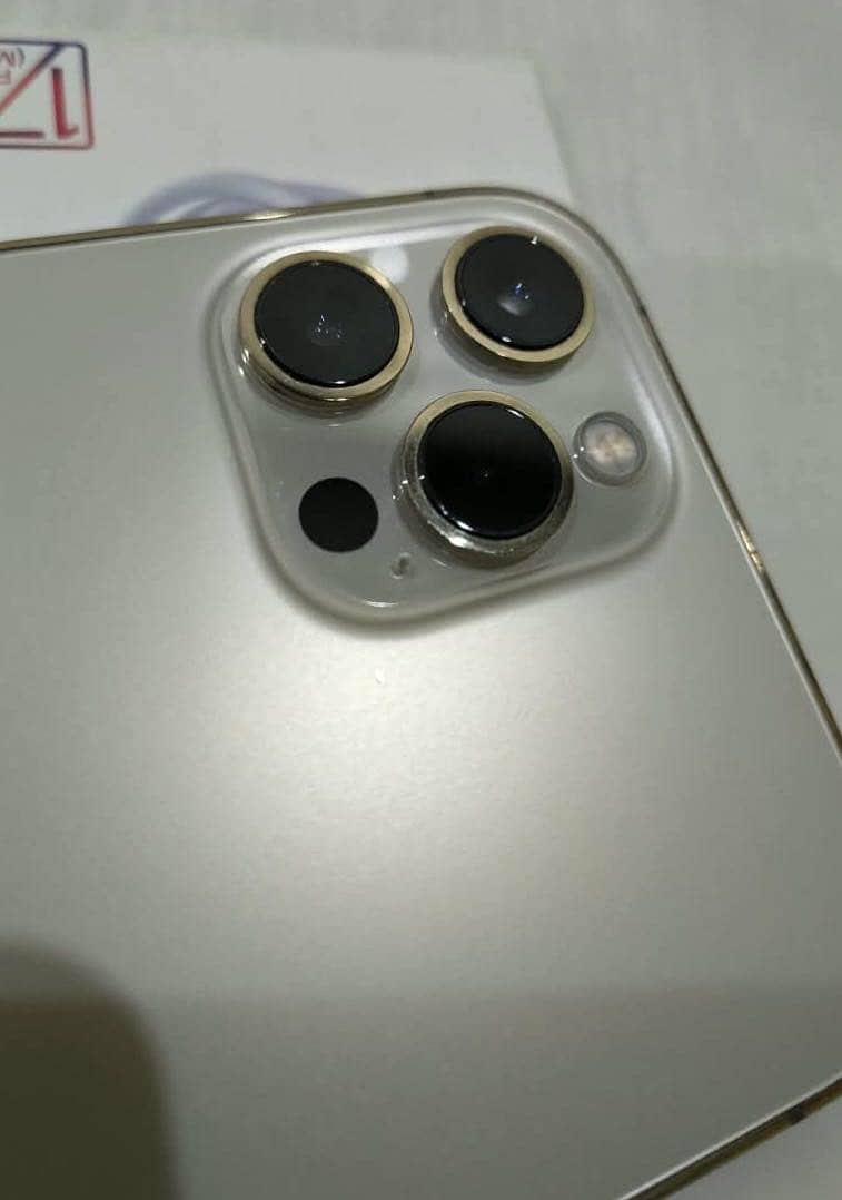 Apple iPhone 12 Pro Max 1
