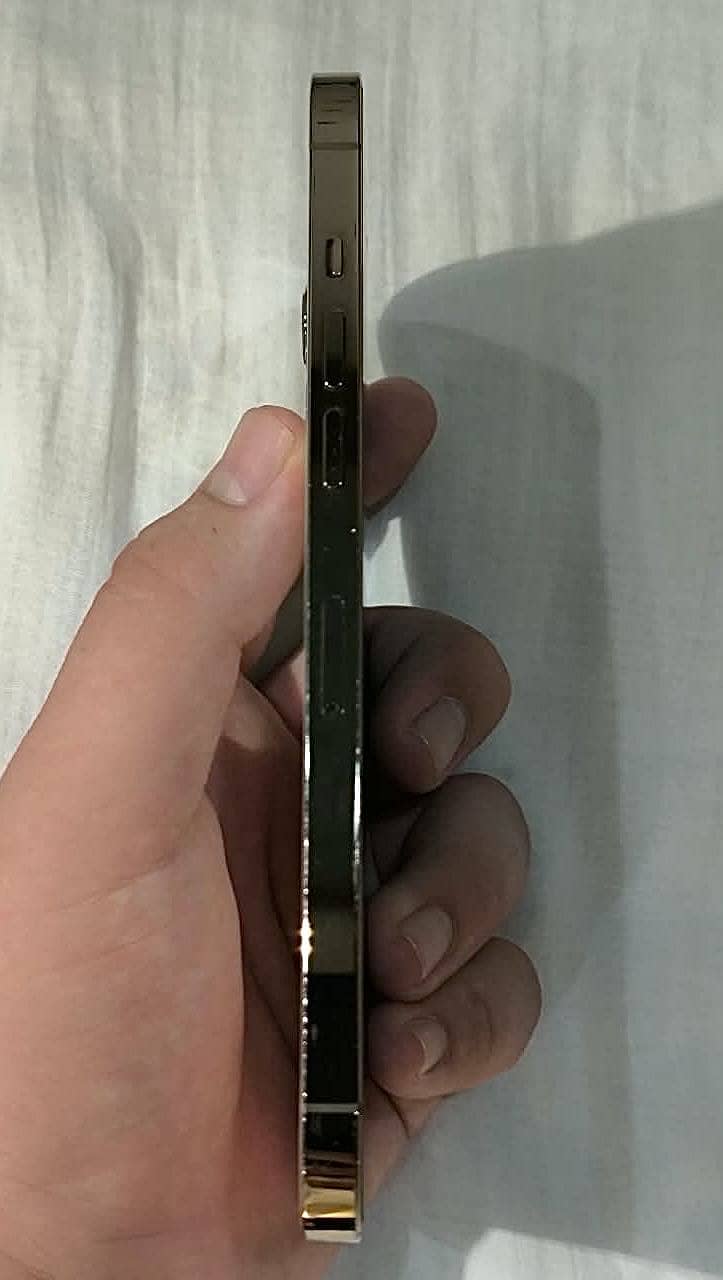 Apple iPhone 12 Pro Max 2