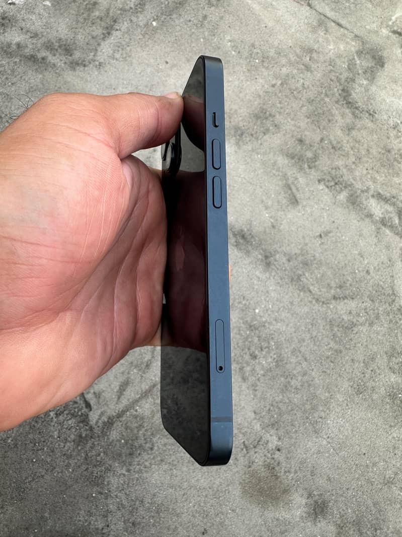 Apple iPhone 13 12
