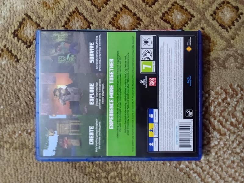 Minecraft PS4 1