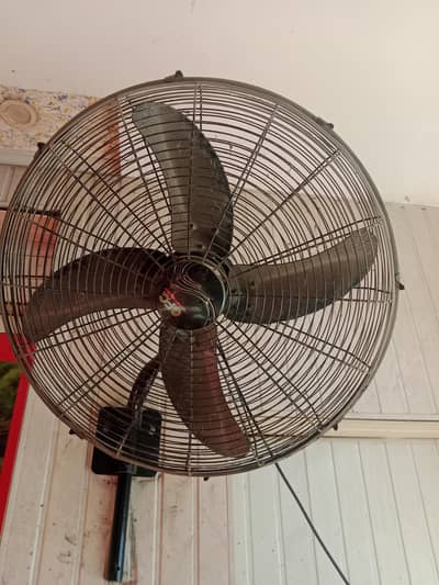 celiging fans