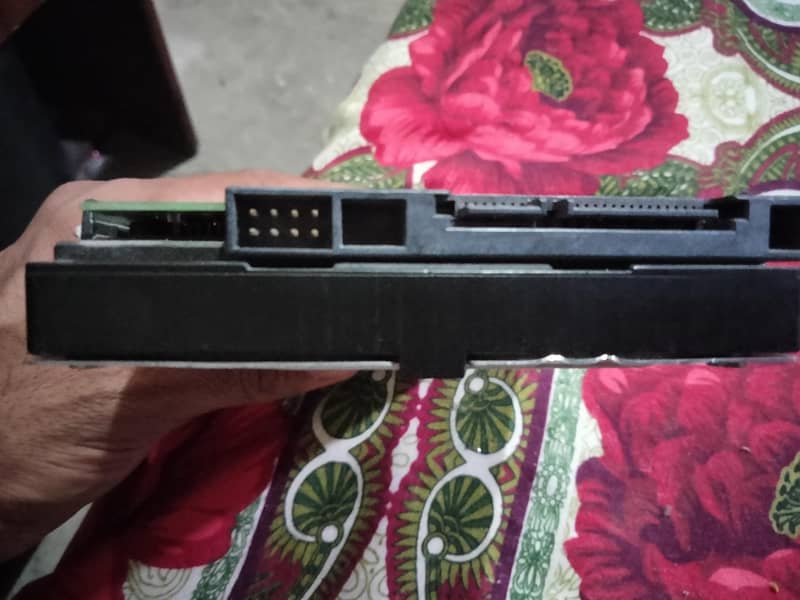 Hard drive 1