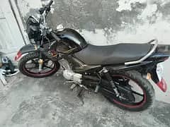 Yamaha YBR 125G 2024 Model | Totally Genuine | Urgent Sale