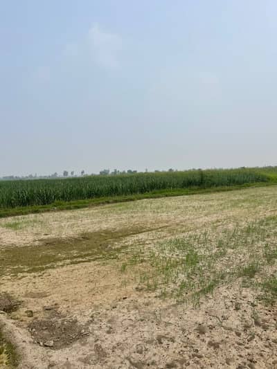 250 Ft Road Front | Mustafabad Canal