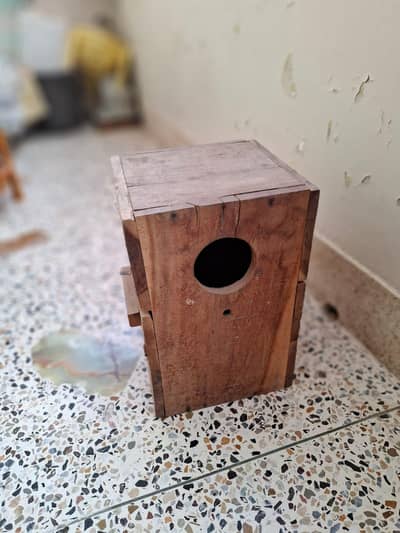 Nesting Box for Indian Ringnecks Keekar Wood
