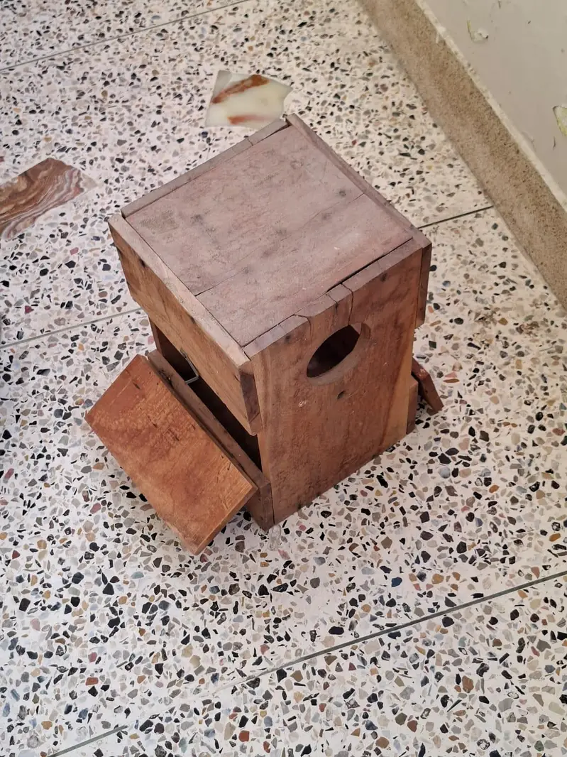 Nesting Box for Indian Ringnecks Keekar Wood — photo 3