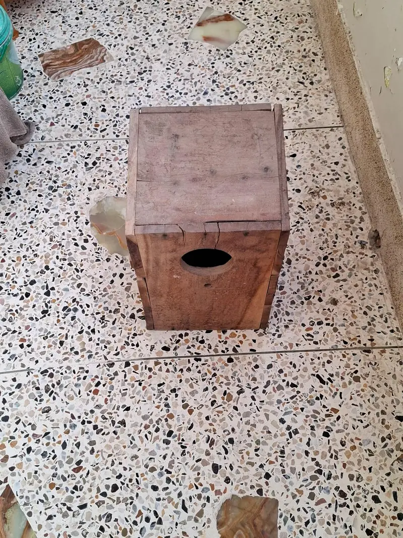 Nesting Box for Indian Ringnecks Keekar Wood — photo 5