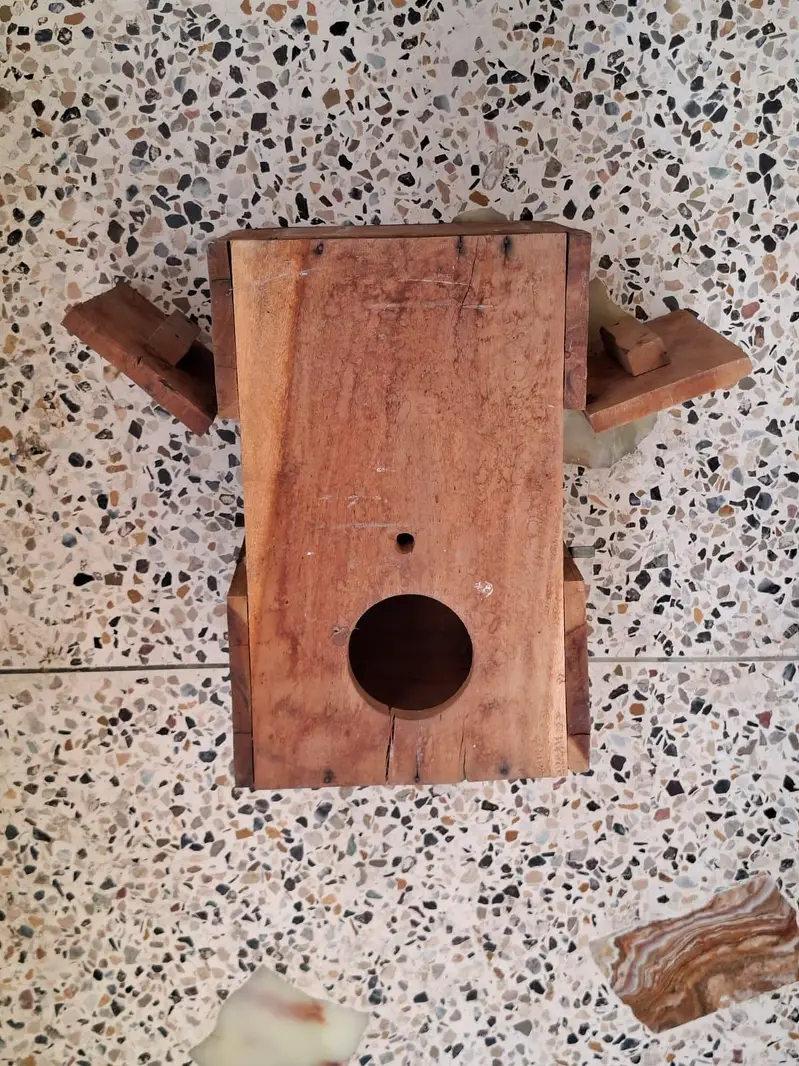 Nesting Box for Indian Ringnecks Keekar Wood — photo 7