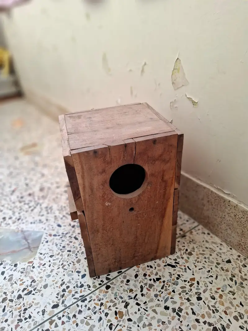Nesting Box for Indian Ringnecks Keekar Wood — photo 10
