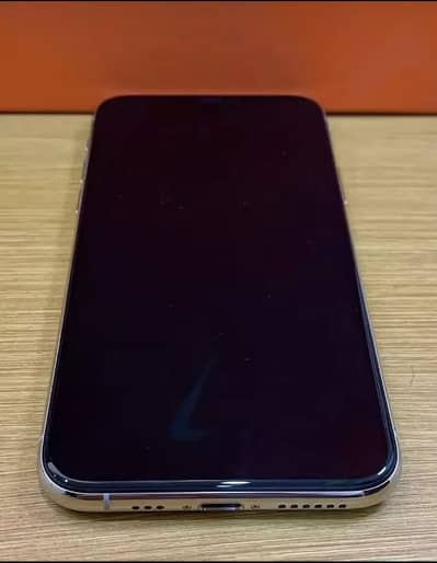 Apple iPhone XS 256 gb factory unlock