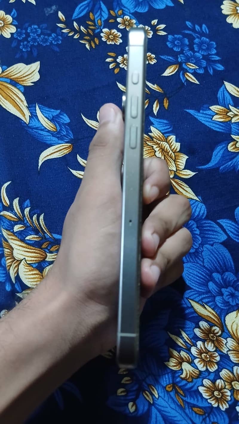 iPhone 15 Pro Max 2