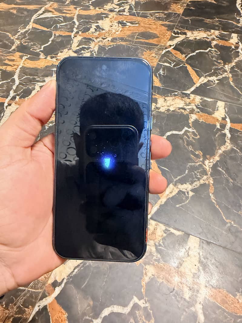 Google Pixel 9 Pro 1