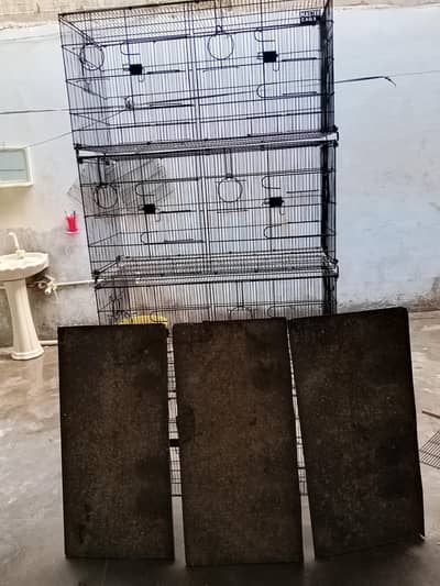 master Cage pinjra