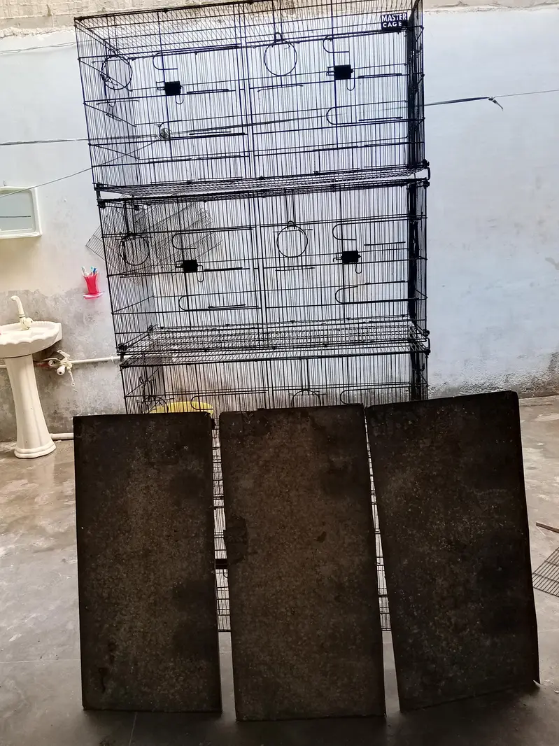 master Cage pinjra