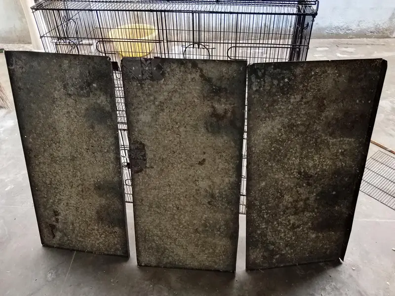 master Cage pinjra — photo 2