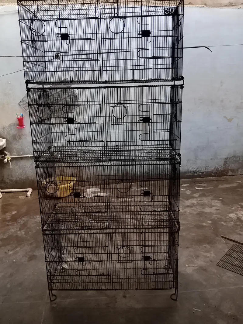master Cage pinjra — photo 3
