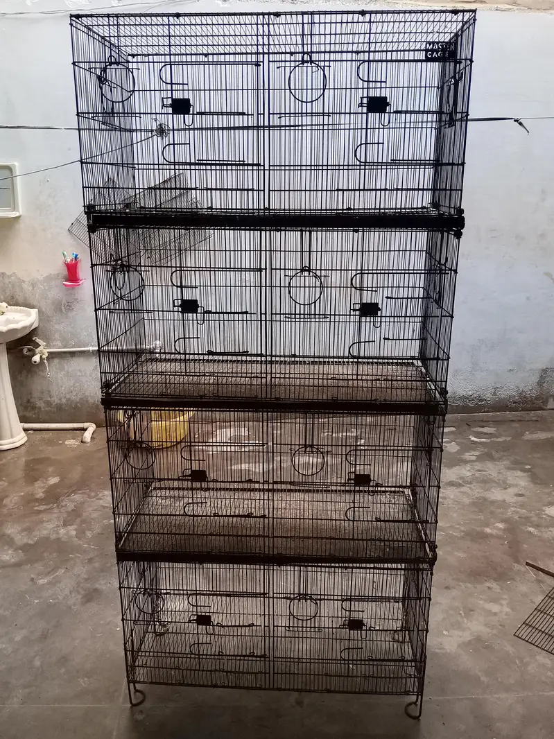 master Cage pinjra — photo 5