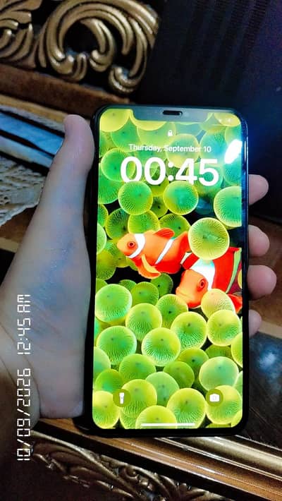 Apple iPhone XS Max