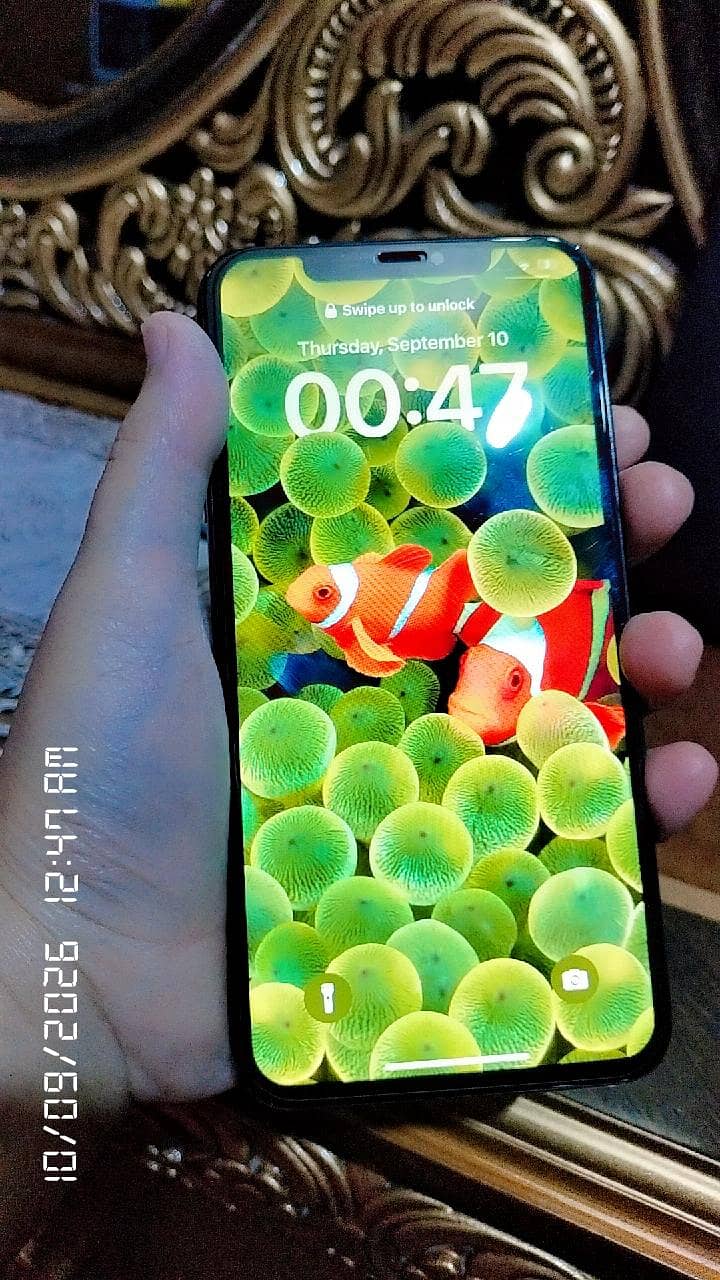 Apple iPhone XS Max 5