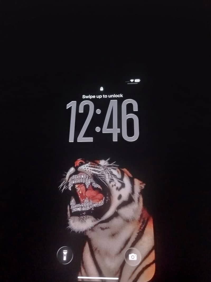 Apple iPhone 12 2