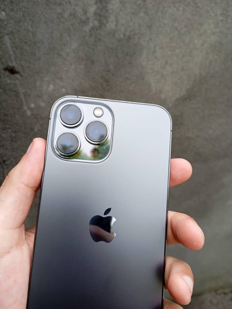 Apple iPhone 13 Pro Max 1