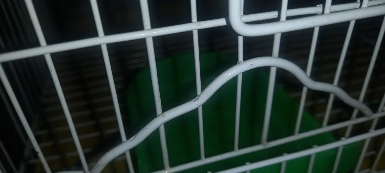 Cage pinjra — photo 3