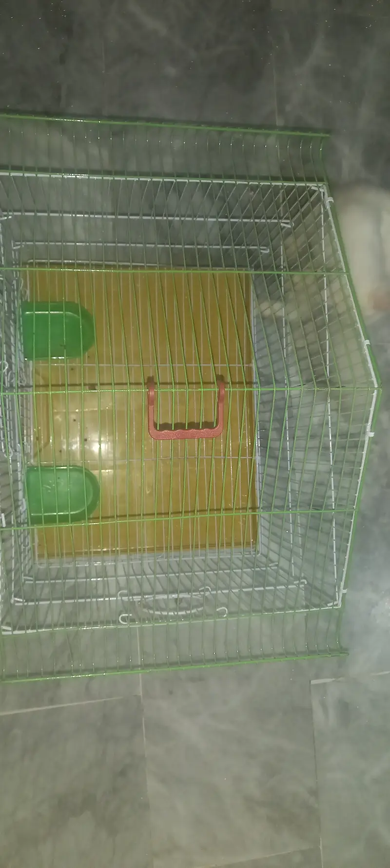Cage pinjra — photo 4