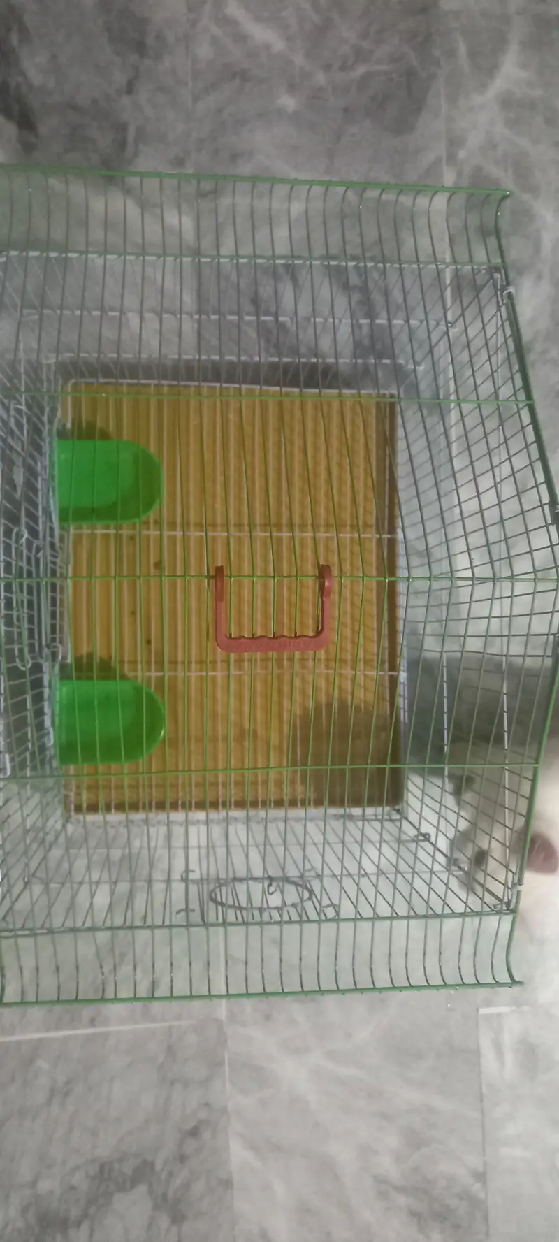 Cage pinjra — photo 5