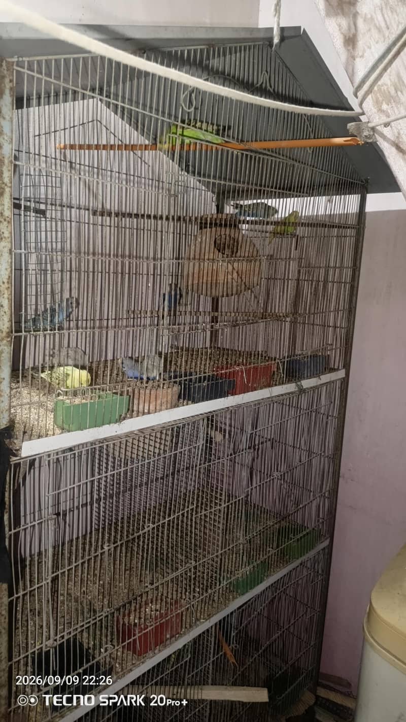 cages 0