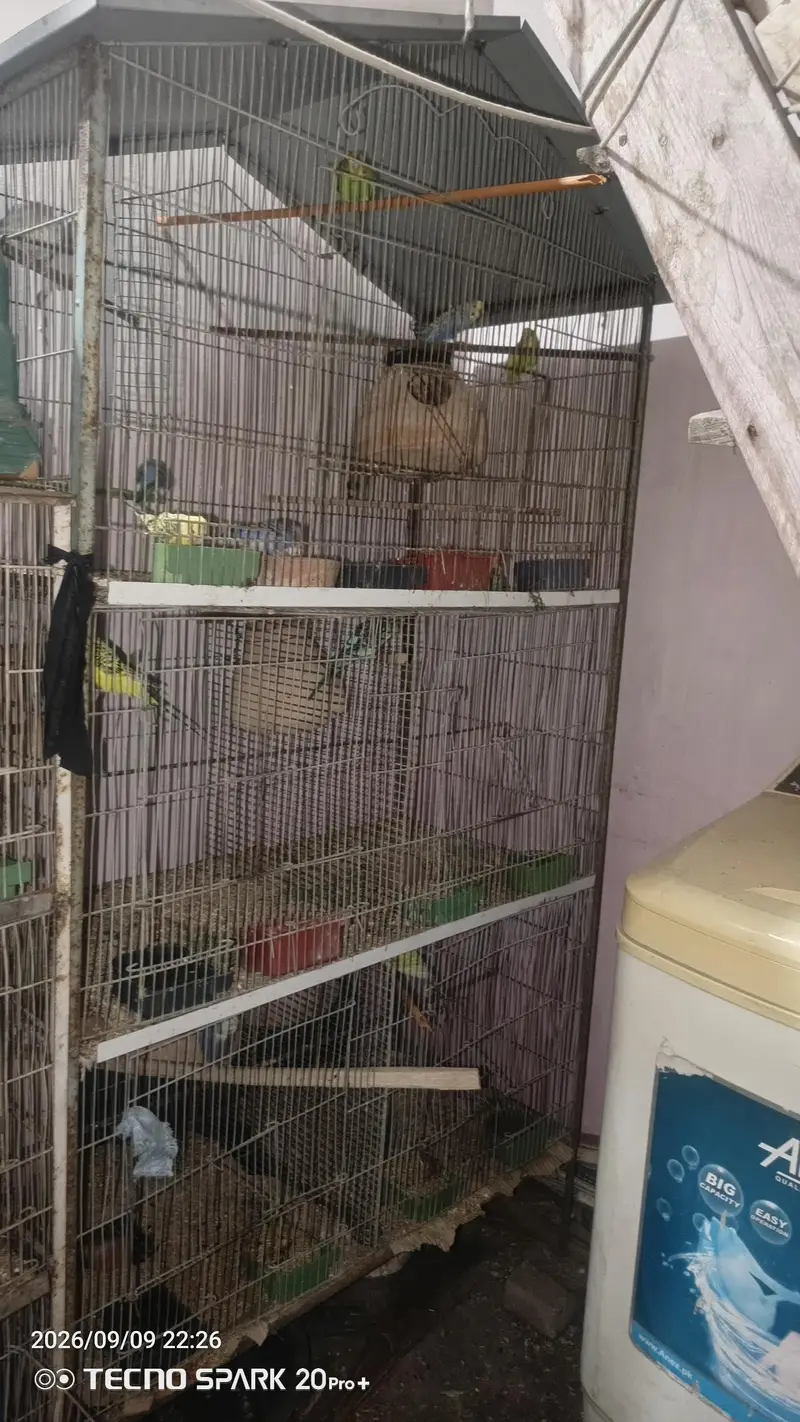 cages — photo 3