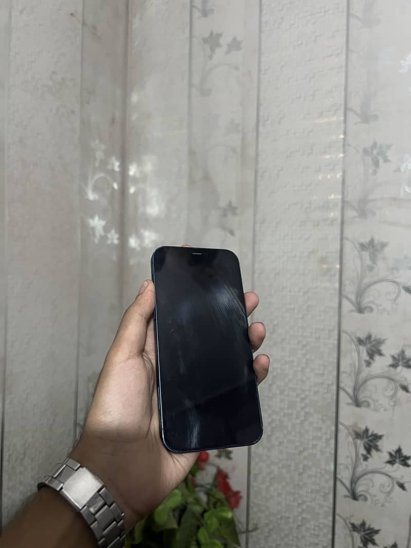 Apple iPhone 12 1