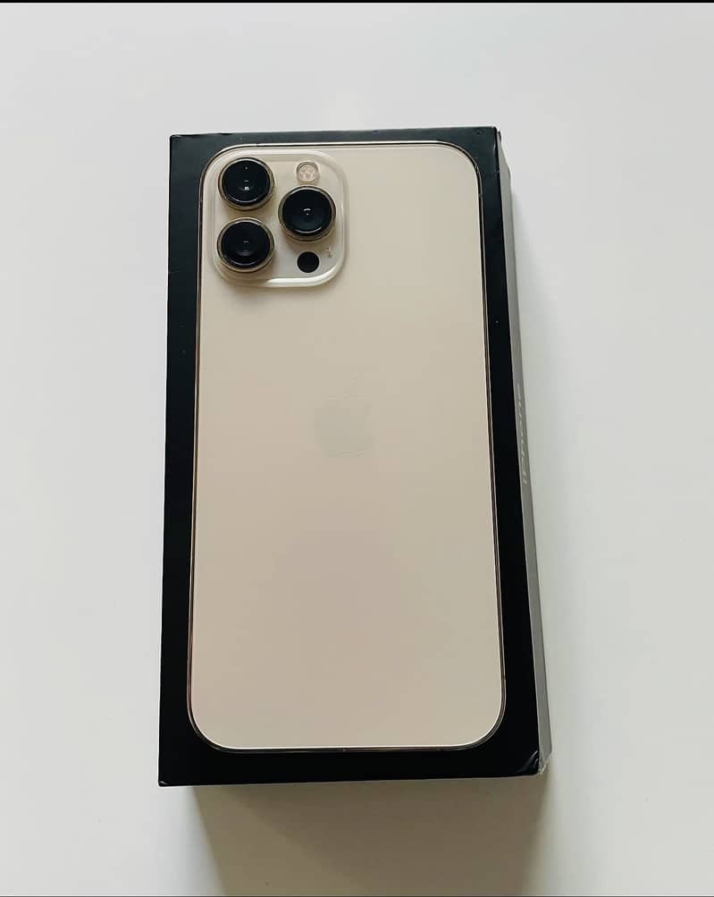 Apple iPhone 13 Pro Max 1