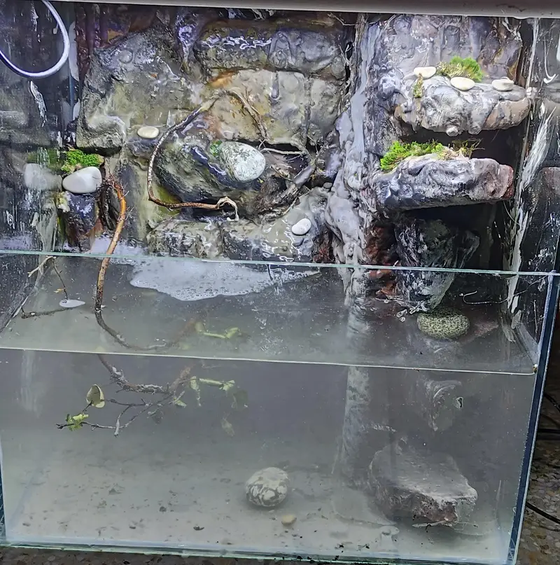 aquarium paludarium — photo 2