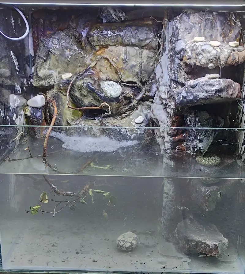 aquarium paludarium