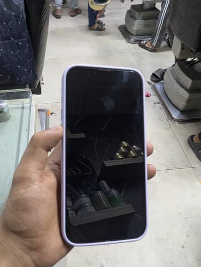 Apple iPhone 13 Pro Max