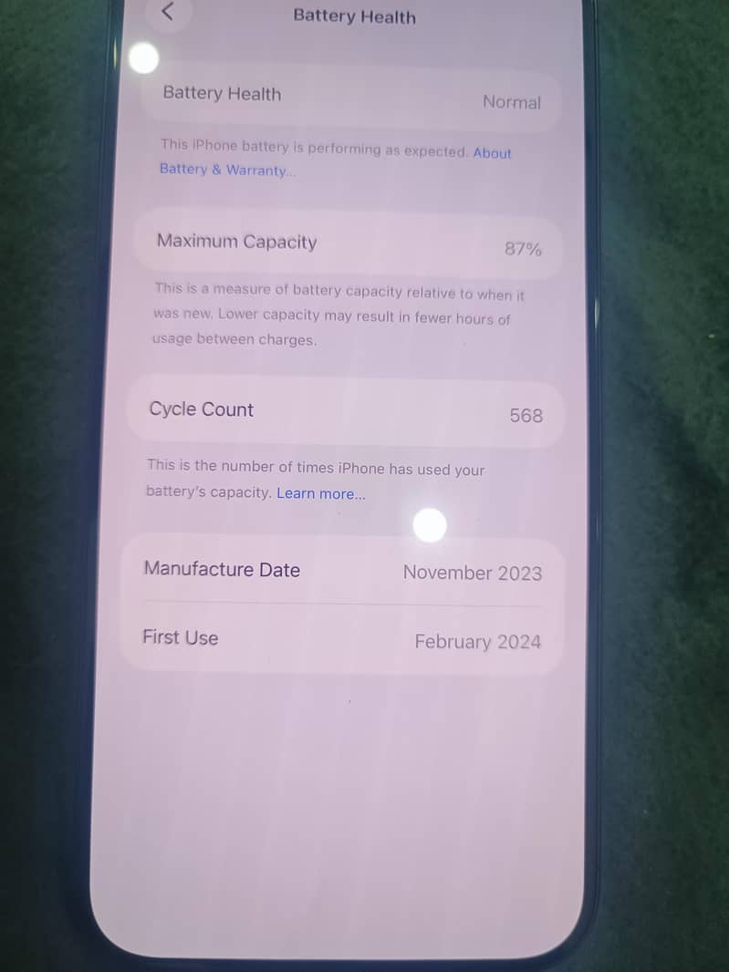 Apple iPhone 15 Pro Max 6