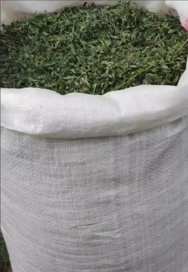 Hay and homemade food
